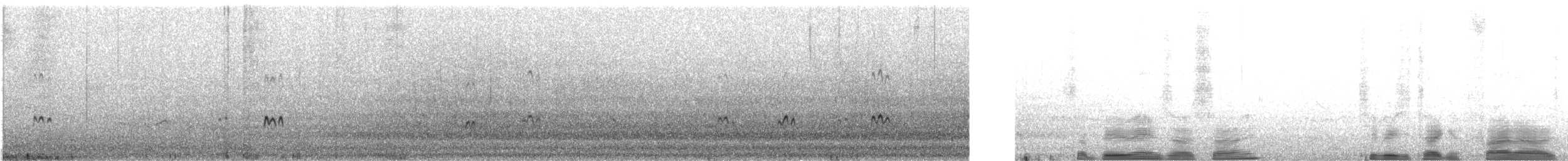 Siberian Sand-Plover - ML628289997
