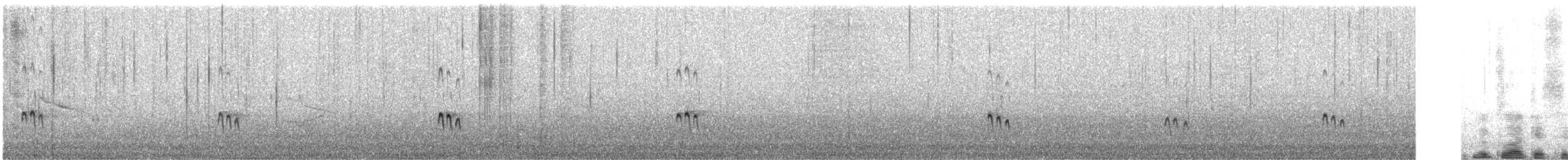 Siberian Sand-Plover - ML628289998