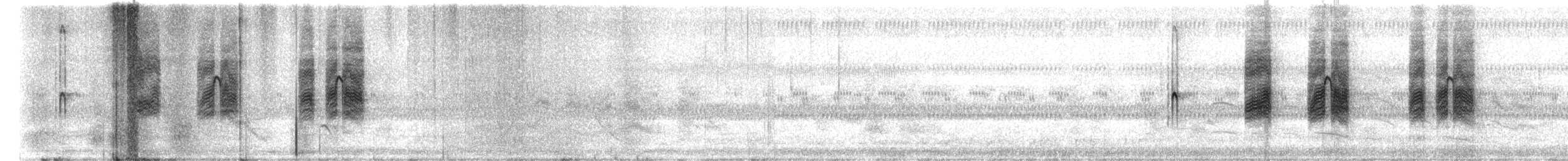 Francolin noir - ML628297218