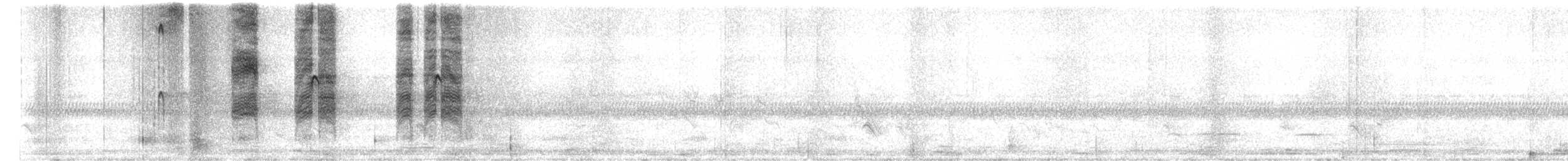 Francolin noir - ML628297223