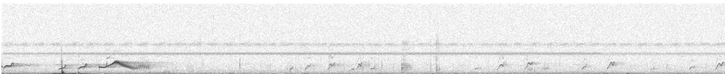 Common Pauraque - ML628299334