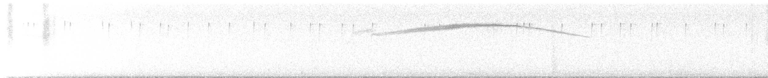 Costa's Hummingbird - ML628301488