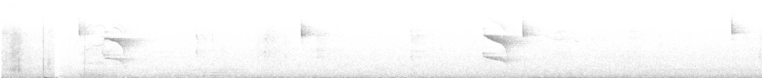 Perlkappen-Baumsteiger - ML628304764