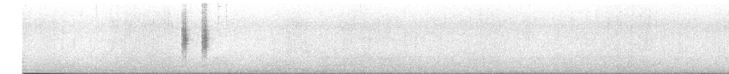 Masked Shrike - ML628306128