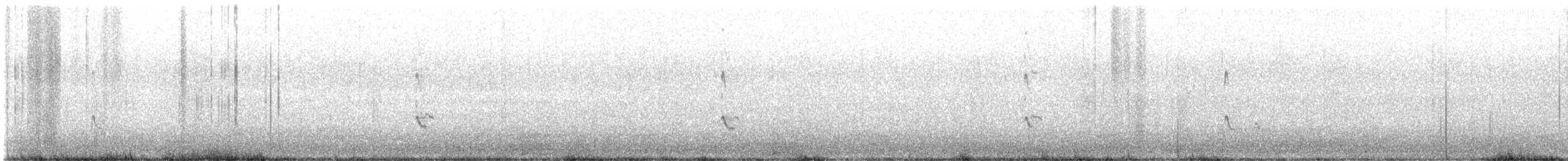 Lesser Yellowlegs - ML628312169