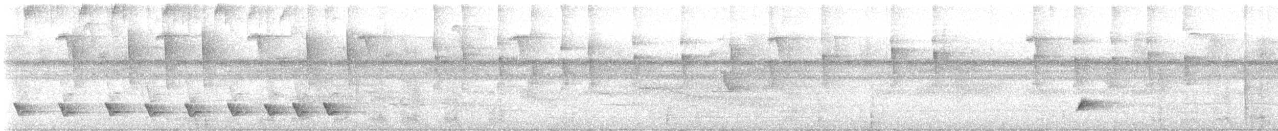 Black-striped Sparrow - ML628315019