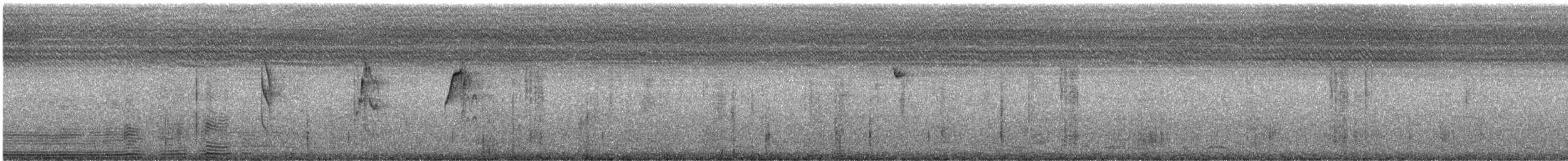 ミズベハチドリ - ML628315943