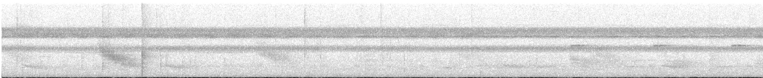 White-crowned Manakin - ML628316840