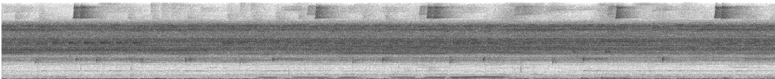Nocturnal Curassow - ML628318387
