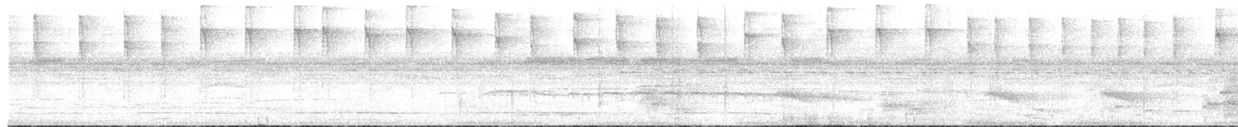 Great-billed Hermit - ML628318727