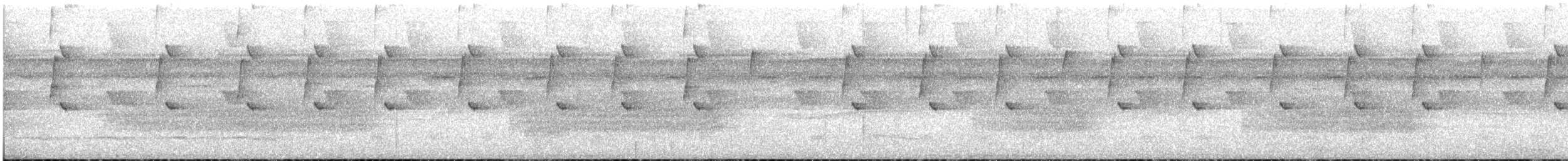 Great-billed Hermit - ML628318992