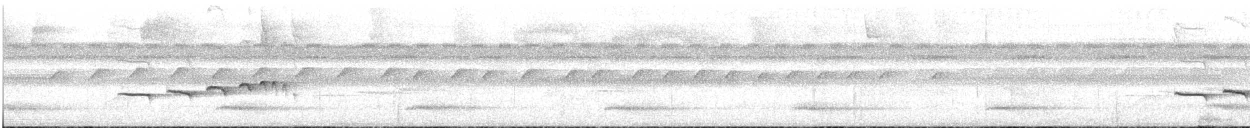Zimmer's Antbird - ML628319642