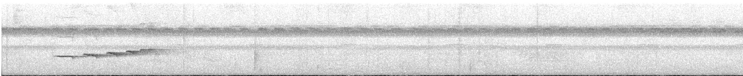 Zimmer's Antbird - ML628319647
