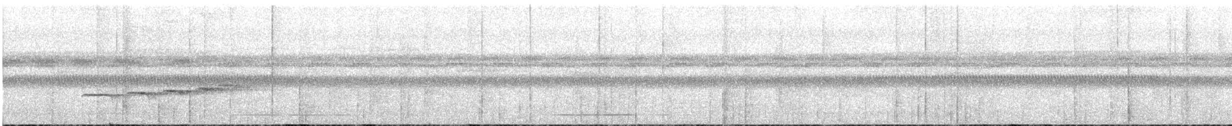Zimmer's Antbird - ML628320385