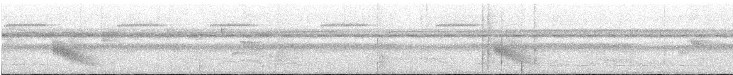 White-crowned Manakin - ML628320584