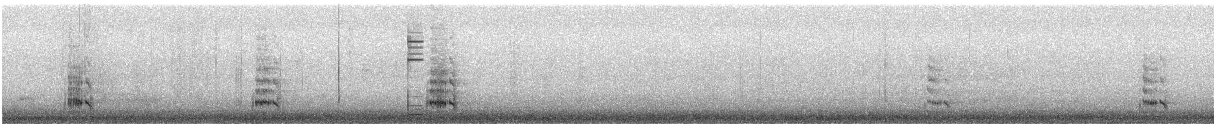 Royal Tern - ML628320862