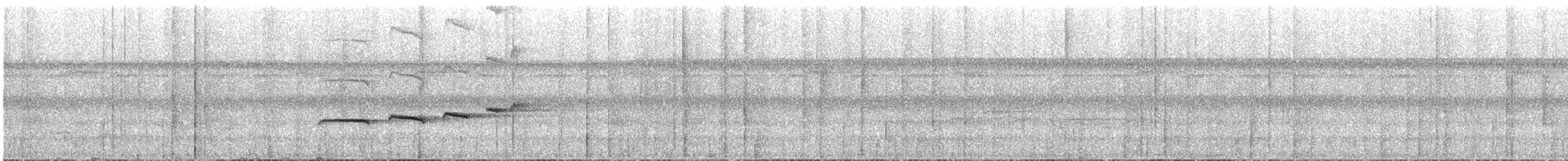 Zimmer's Antbird - ML628321973