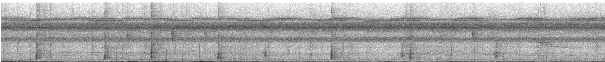 チャバラオオツリスドリ - ML628322016