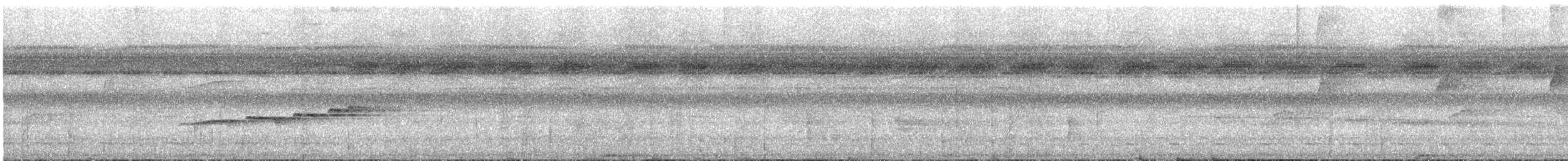 Zimmer's Antbird - ML628322038