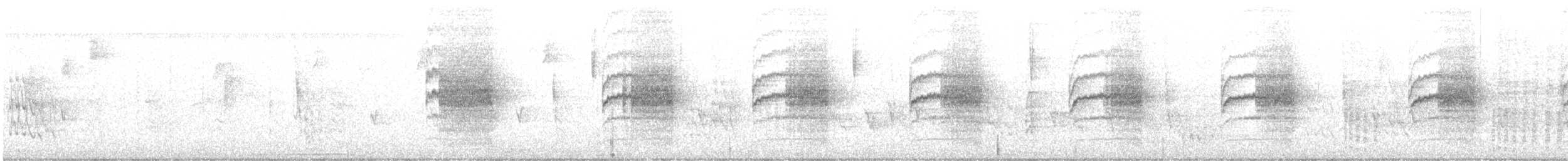 wren sp. - ML628322354
