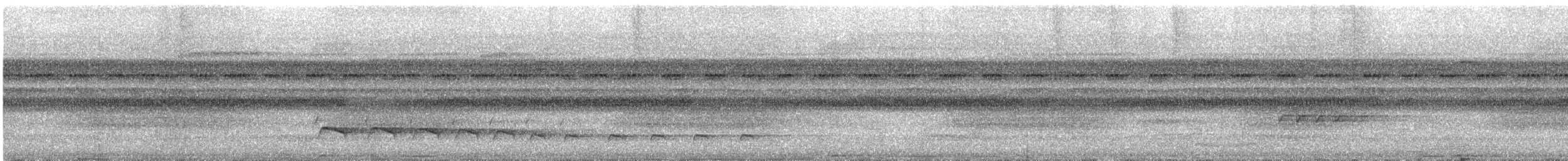 Lawrence's Thrush - ML628325279