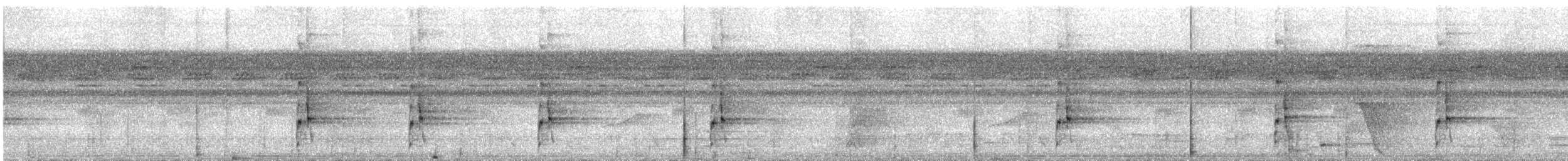 Bindenarassari - ML628325697