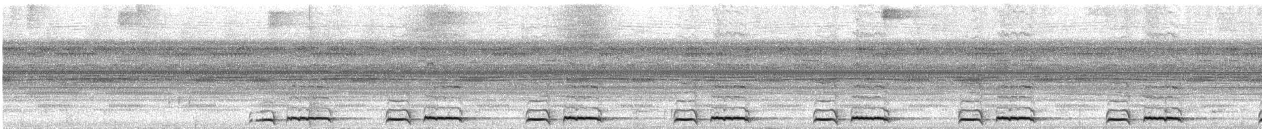 Starred Wood-Quail - ML628325894