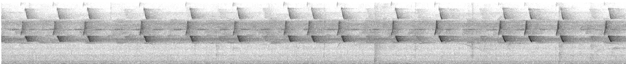 Great-billed Hermit - ML628327415