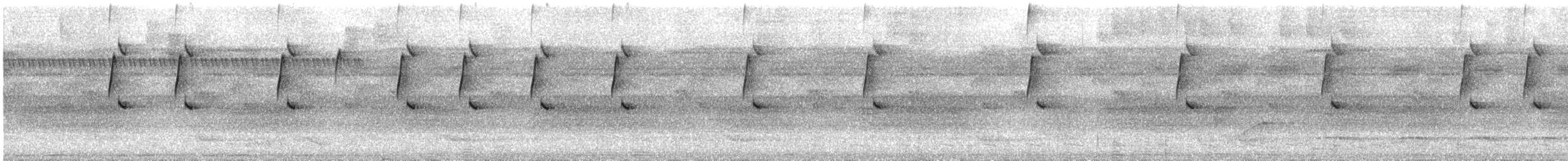 Great-billed Hermit - ML628327416