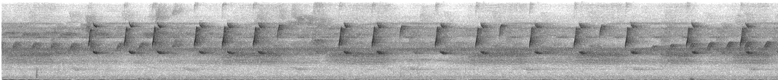 Great-billed Hermit - ML628327417