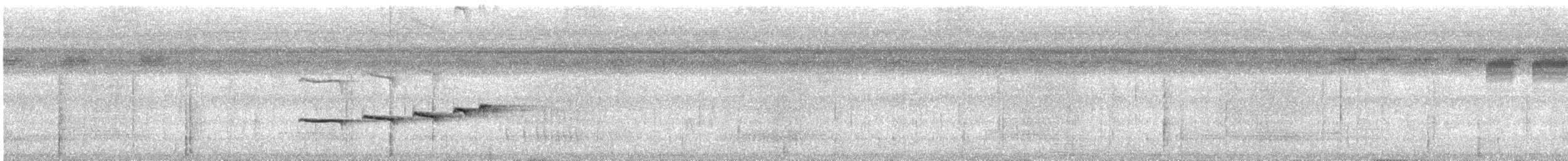 Zimmer's Antbird - ML628328052