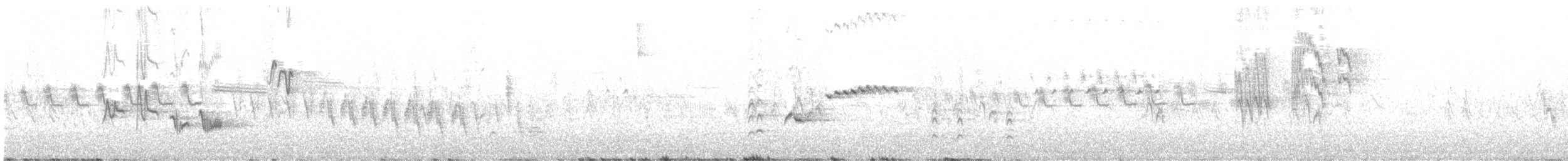 Дууч хөөндэй - ML628331340