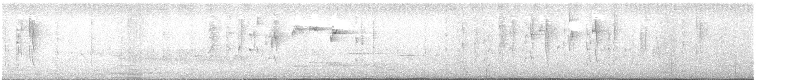 New Zealand Fantail - ML628331392