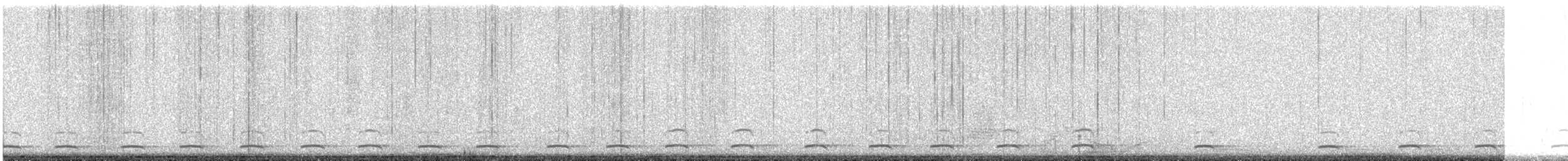 Northern Saw-whet Owl - ML628339424