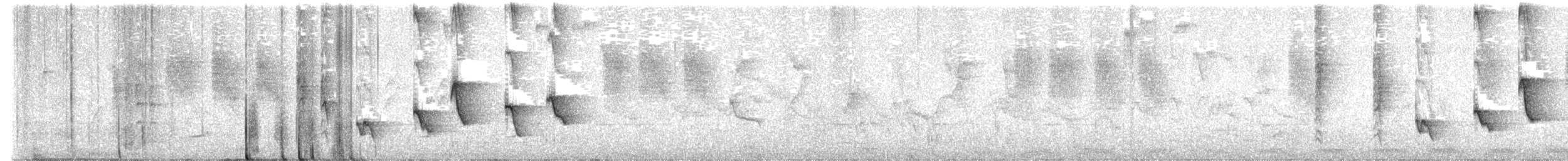 Souimanga murin - ML628341549