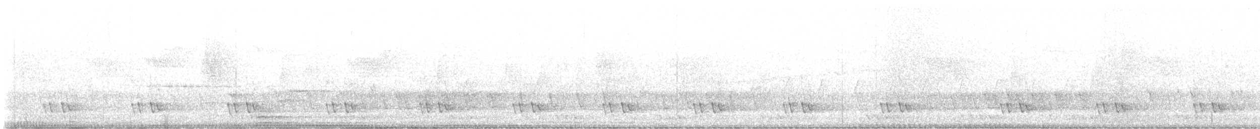 Barbu à oreillons bleus - ML628344351