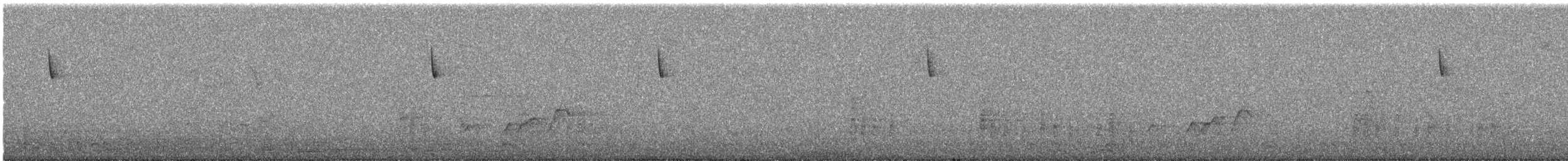 Серогорлая зарничка - ML628351650