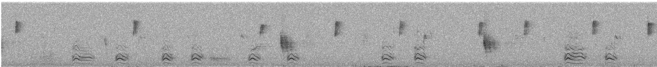 American Crow - ML628356512