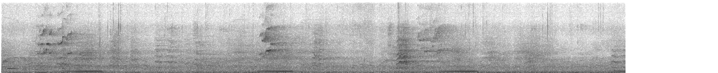 Common Bronzewing - ML628358787