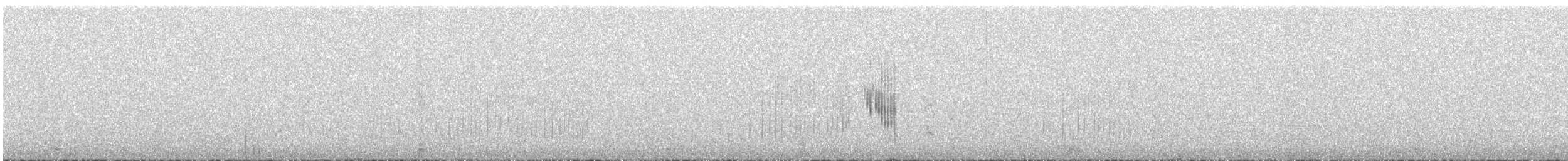 Cactus Canastero - ML628360174