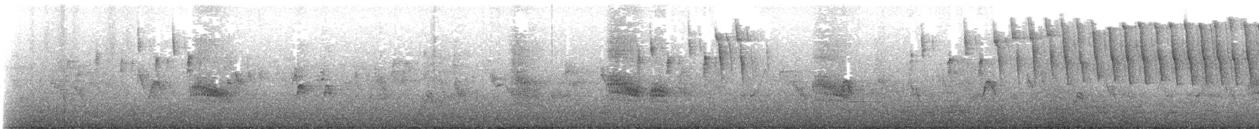 møllparula - ML628365067