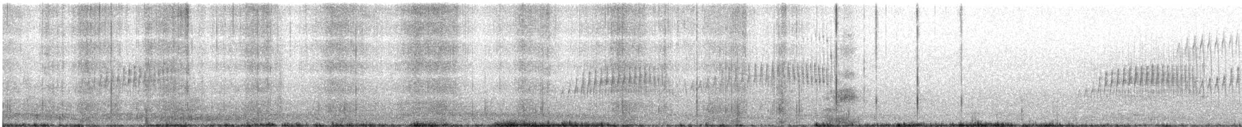 Streak-backed Canastero - ML628389217