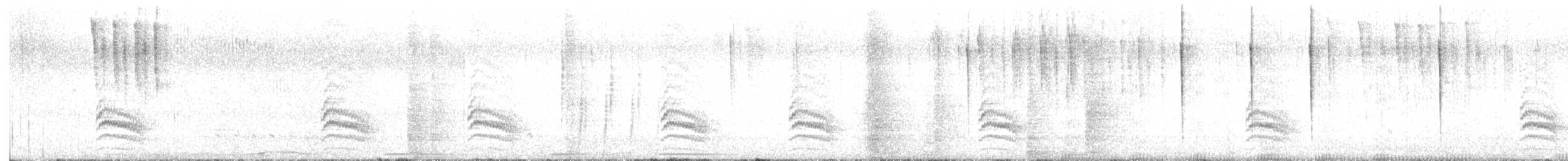 Sittelle à poitrine blanche (aculeata/alexandrae) - ML62839131
