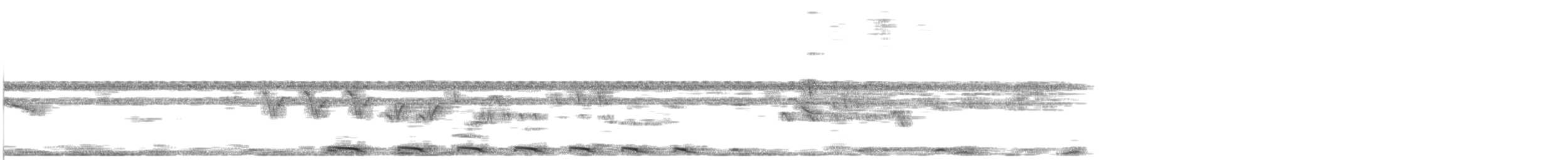 コミミグロカッコウ - ML628394683