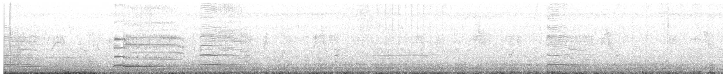 Red-naped Ibis - ML628403301