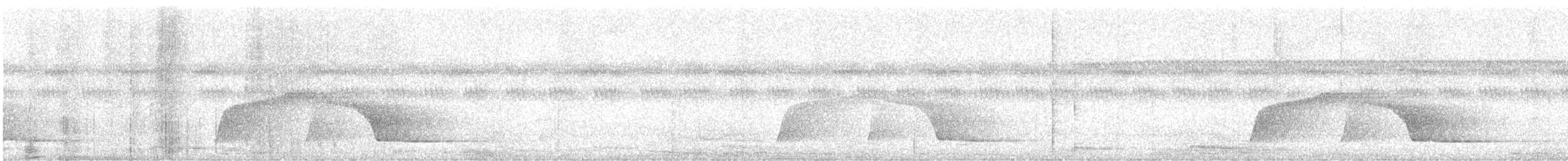 Screaming Piha - ML628403809