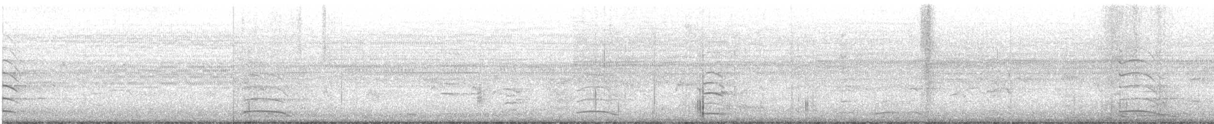 Limpkin - ML628405805