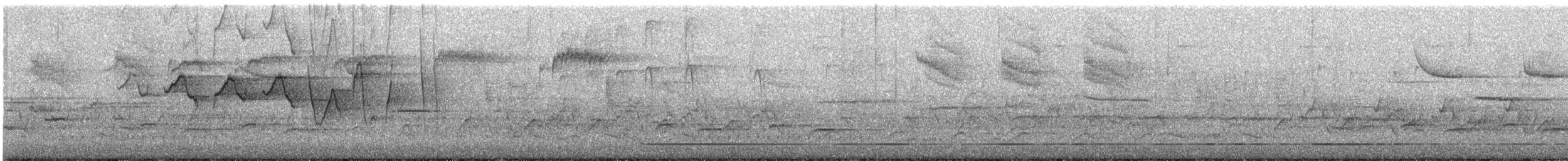 Louisiana Waterthrush - ML628406999