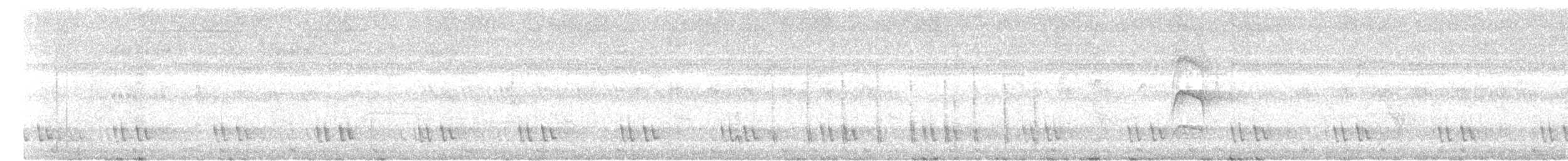 Whiskered Treeswift - ML628411496