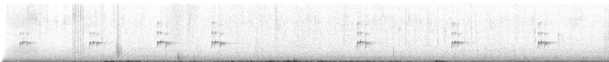 チャバラマユミソサザイ - ML628417564